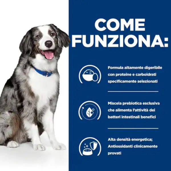 Hill's Prescription Diet i/d Sensitive Canine   bauzaarit.myshopify.com