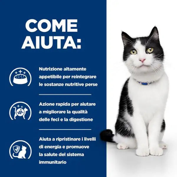 Hill's Prescription Diet i/d Teneri Bocconcini in Salsa 85 gr   bauzaarit.myshopify.com