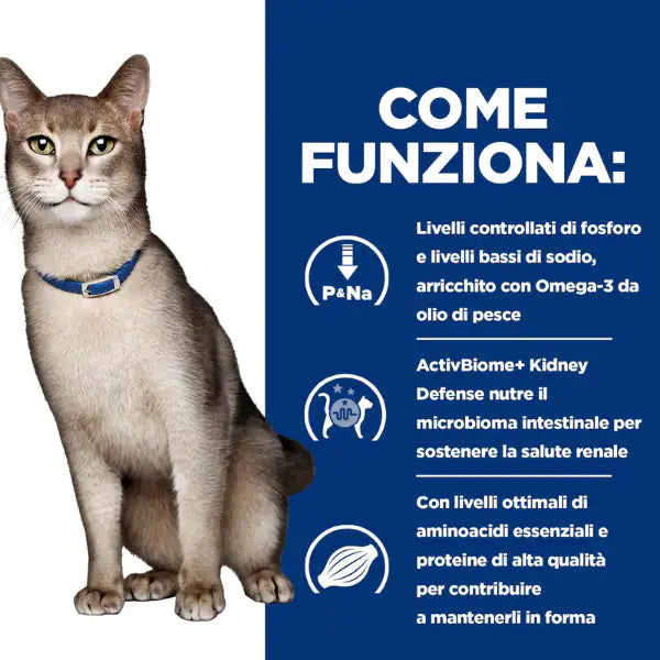 Hill's Prescription Diet k/d Feline con Salmone   Bauzaar.it