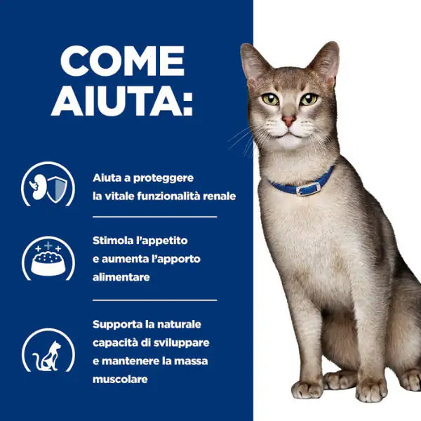 Hill's Prescription Diet k/d Feline con Tonno   bauzaarit.myshopify.com