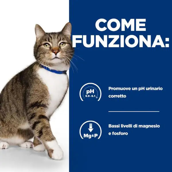 Hill's Prescription Diet s/d Feline   bauzaarit.myshopify.com