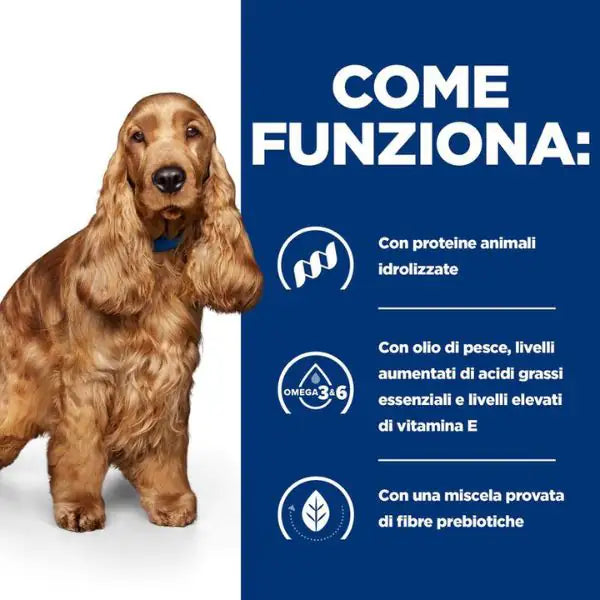 Hill's Prescription Diet z/d Canine   bauzaarit.myshopify.com