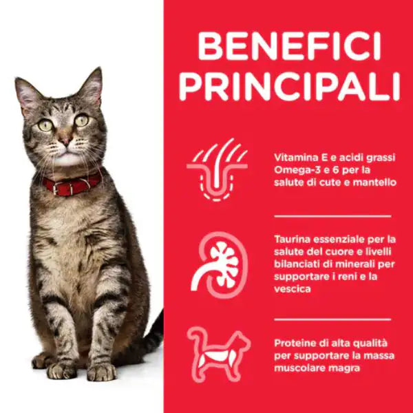Hill's Science Plan Adult Alimento per Gatti 85 gr   bauzaarit.myshopify.com