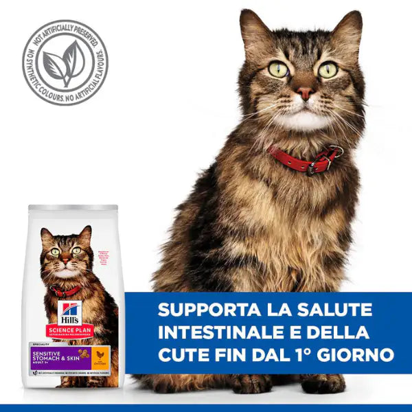 Hill's Science Plan Adult Sensitive Stomach & Skin Alimento per gatti con Pollo   bauzaarit.myshopify.com