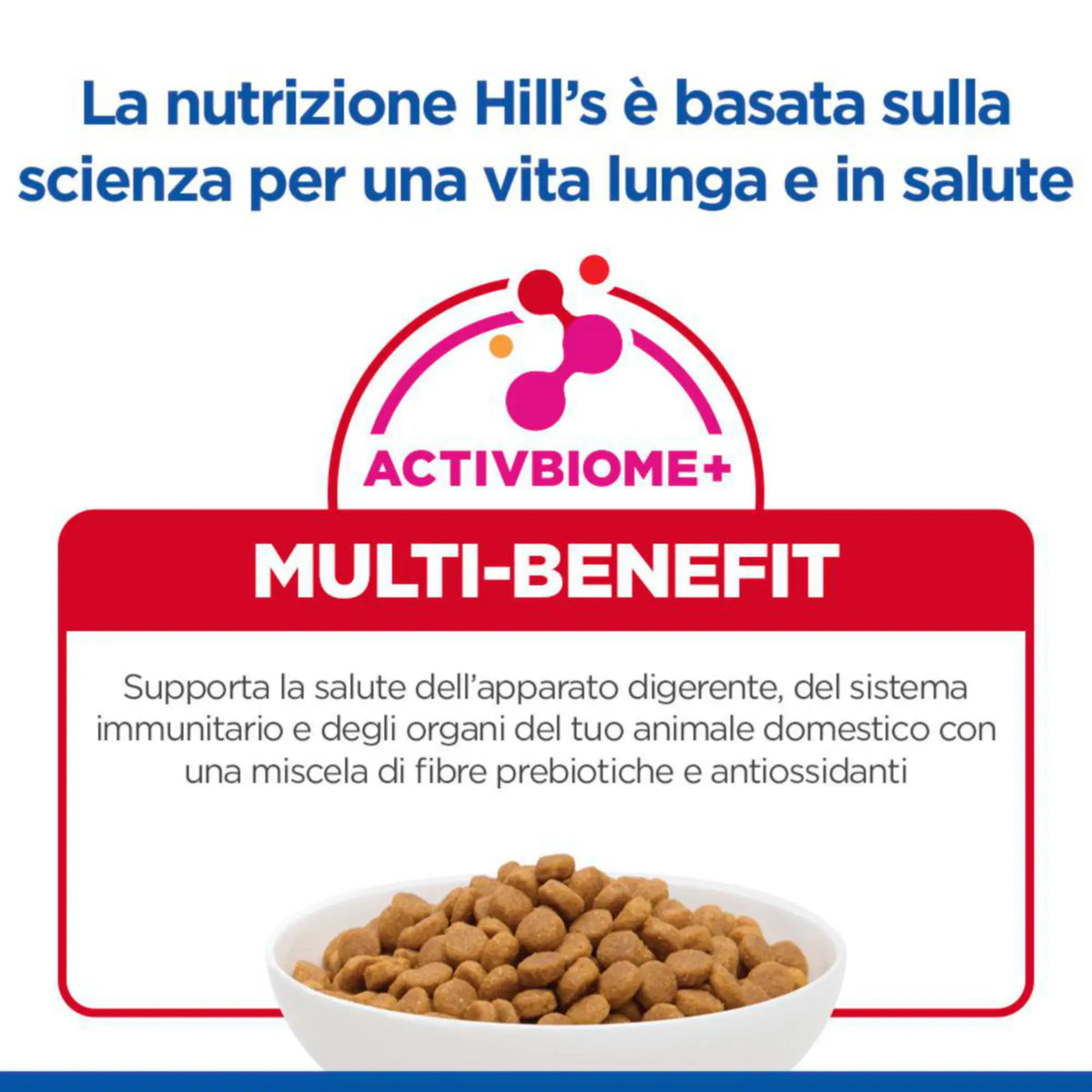 Hill's Science Plan Adult Small & Mini Breed alimento secco per cani con Agnello e riso   Bauzaar.it