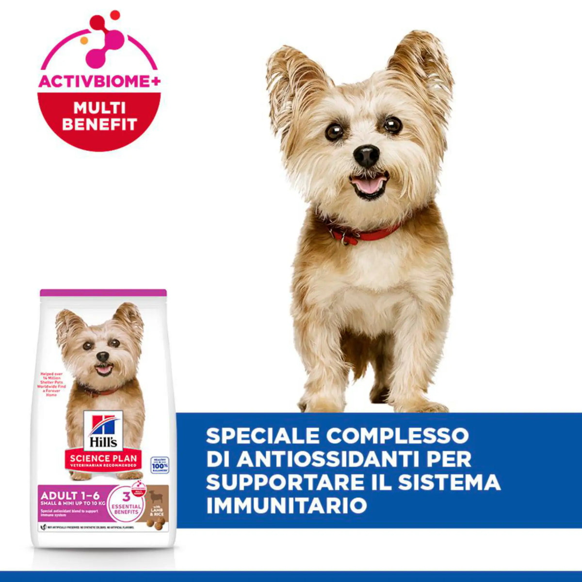 Hill's Science Plan Adult Small & Mini Breed alimento secco per cani con Agnello e riso   Bauzaar.it