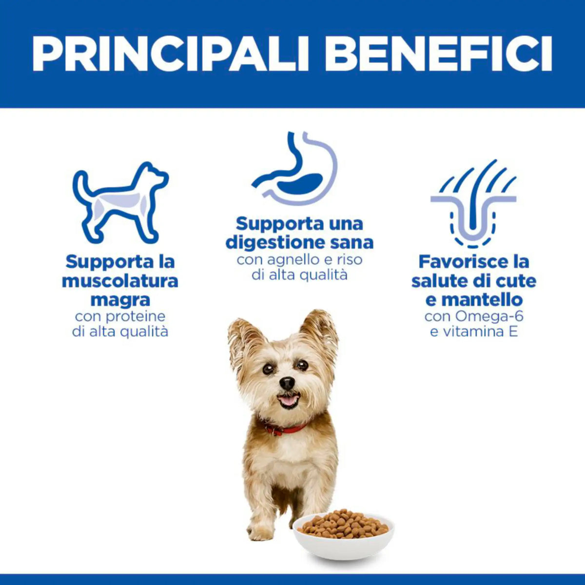 Hill's Science Plan Adult Small & Mini Breed alimento secco per cani con Agnello e riso   Bauzaar.it