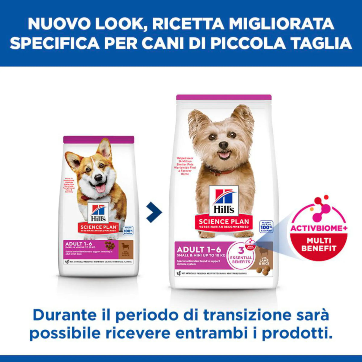 Hill's Science Plan Adult Small & Mini Breed alimento secco per cani con Agnello e riso   Bauzaar.it