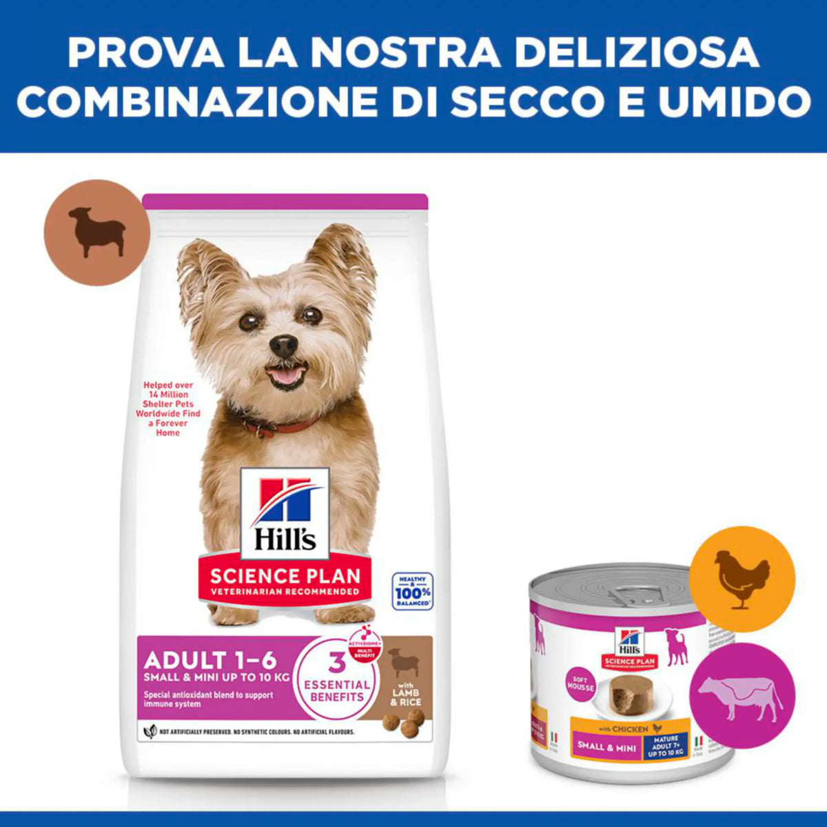 Hill's Science Plan Adult Small & Mini Breed alimento secco per cani con Agnello e riso   Bauzaar.it
