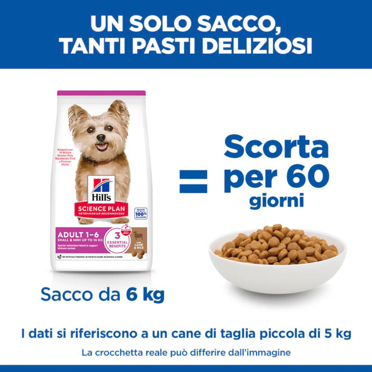 Hill's Science Plan Adult Small & Mini Breed alimento secco per cani con Agnello e riso   Bauzaar.it