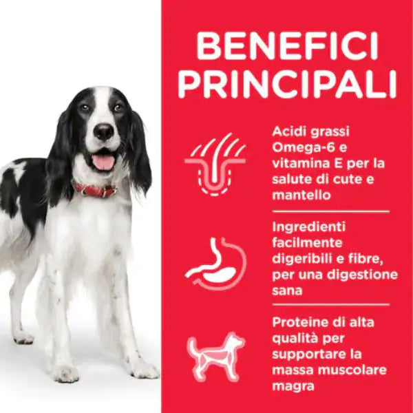 Hill's Science Plan Canine Adult Alimento per cani 370gr   bauzaarit.myshopify.com