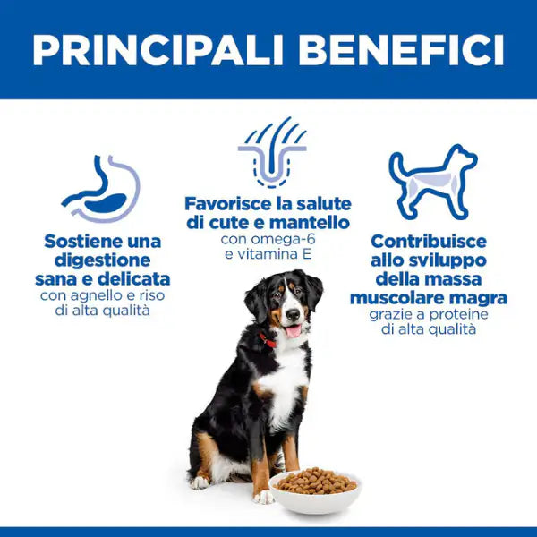 Hill's Science Plan Dog Adult Large Breeds Agnello e riso   bauzaarit.myshopify.com
