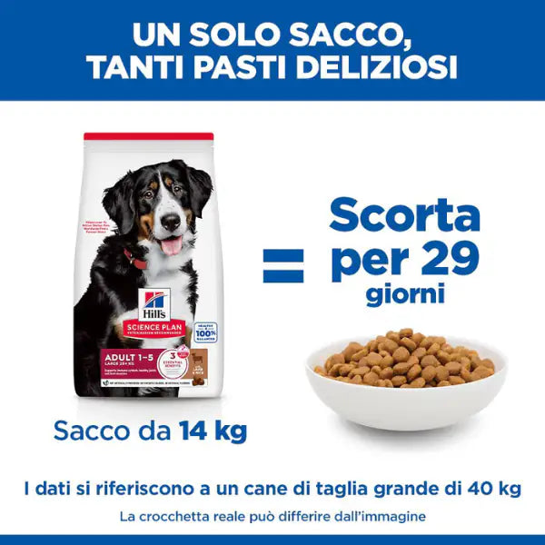 Hill's Science Plan Dog Adult Large Breeds Agnello e riso   bauzaarit.myshopify.com