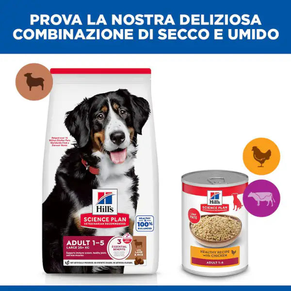 Hill's Science Plan Dog Adult Large Breeds Agnello e riso   bauzaarit.myshopify.com