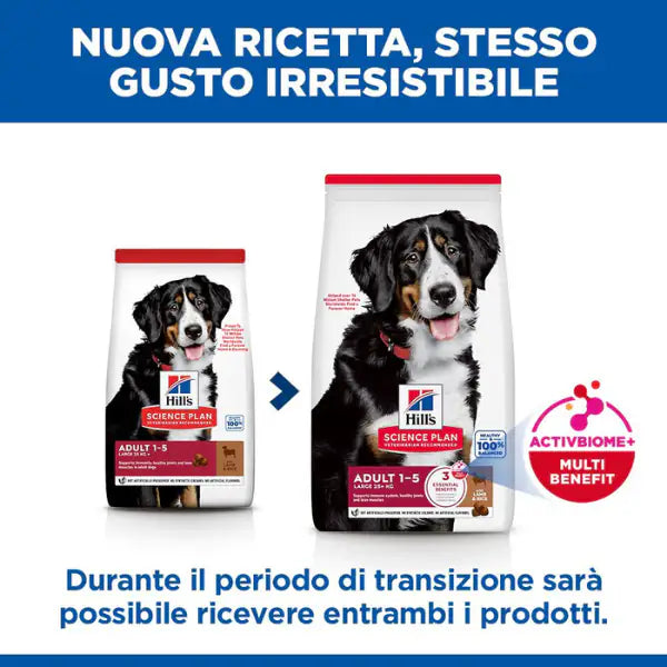 Hill's Science Plan Dog Adult Large Breeds Agnello e riso   bauzaarit.myshopify.com