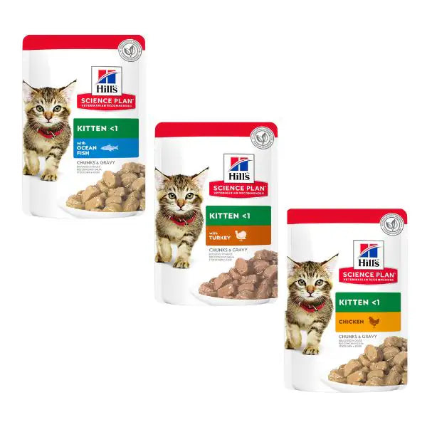 Hill's Science Plan Kitten Alimento per gattini 85 gr   bauzaarit.myshopify.com