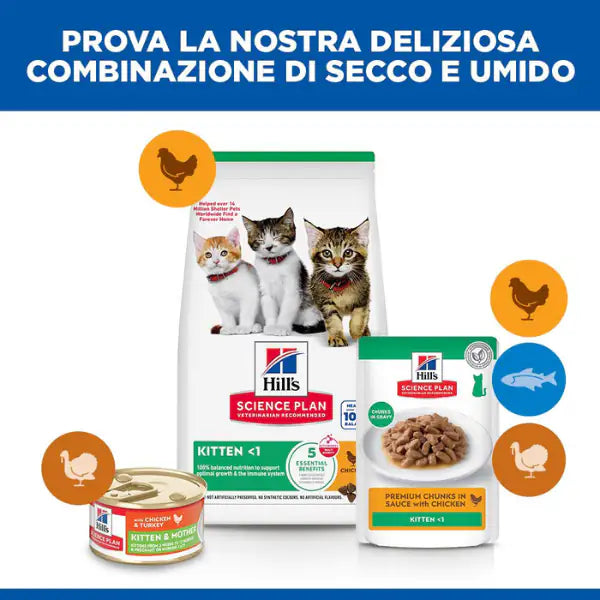 Hill's Science Plan Kitten Alimento per gattini con Pollo   bauzaarit.myshopify.com