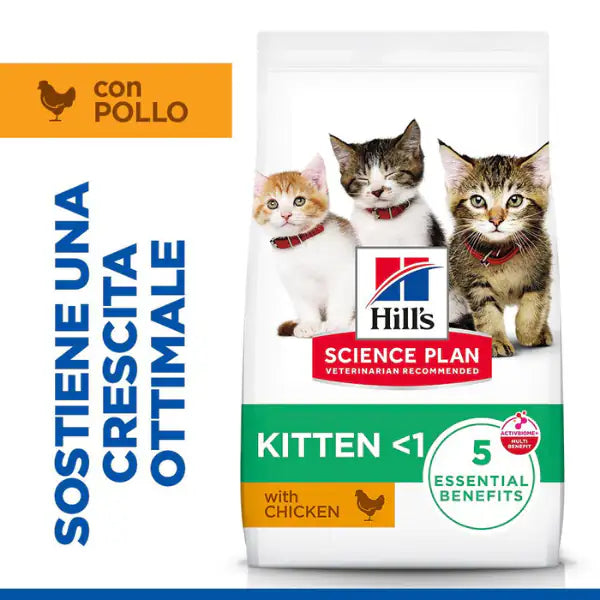 Hill's Science Plan Kitten Alimento per gattini con Pollo   bauzaarit.myshopify.com