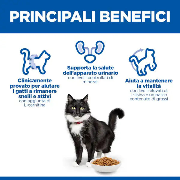 Hill's Science Plan Mature 7+ Adult Sterilised Alimento per gatti con Pollo   bauzaarit.myshopify.com