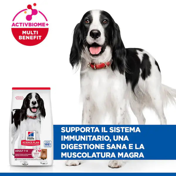 Hill's Science Plan Medium Adult Alimento per Cani con Agnello e Riso   bauzaarit.myshopify.com