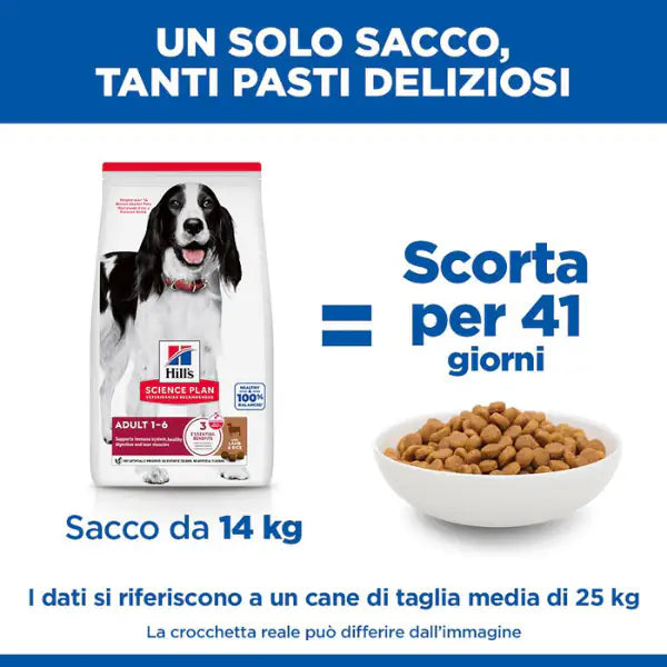 Hill's Science Plan Medium Adult Alimento per Cani con Agnello e Riso   bauzaarit.myshopify.com
