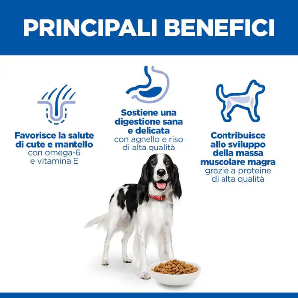 Hill's Science Plan Medium Adult Alimento per Cani con Agnello e Riso   bauzaarit.myshopify.com