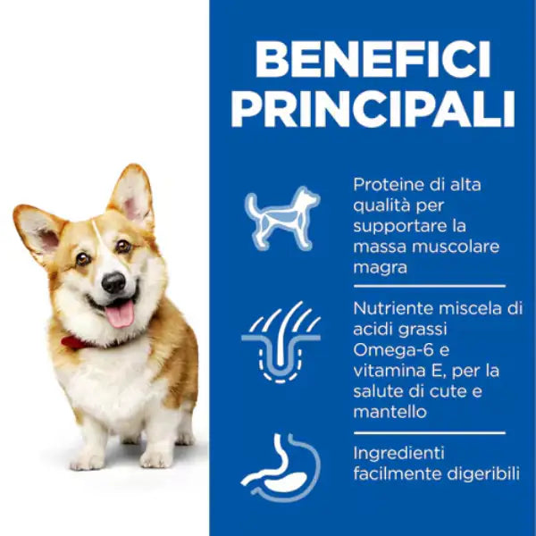Hill's Science Plan Small & Mini Adult Alimento per cani con Agnello   bauzaarit.myshopify.com