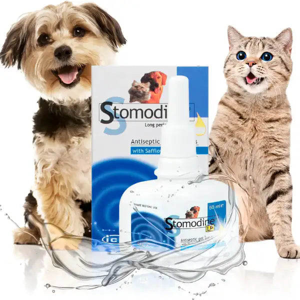 ICF Stomodine LP Gel Orale mucoadesivo per cani e gatti   Bauzaar.it