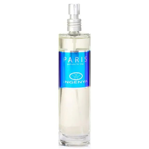 Ingenya Profumo 100 ml   bauzaarit.myshopify.com