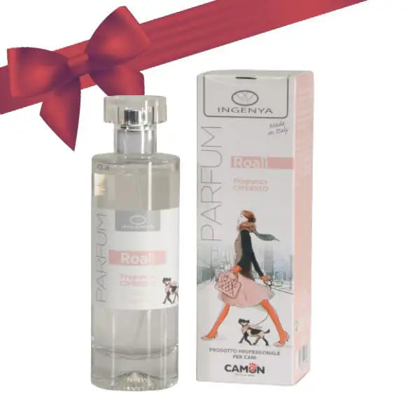 Ingenya Profumo 100 ml   bauzaarit.myshopify.com