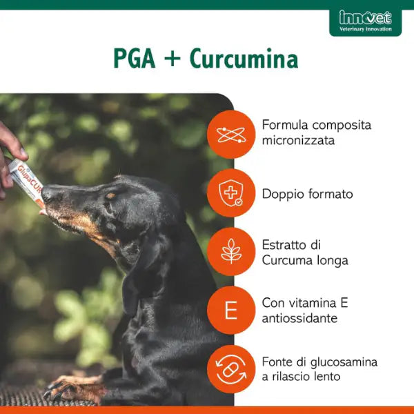 Innovet Glupacur sollievo articolare Stick orali per cani e gatti   Bauzaar.it