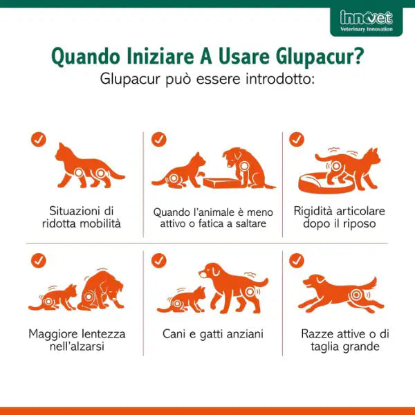Innovet Glupacur sollievo articolare Stick orali per cani e gatti   Bauzaar.it