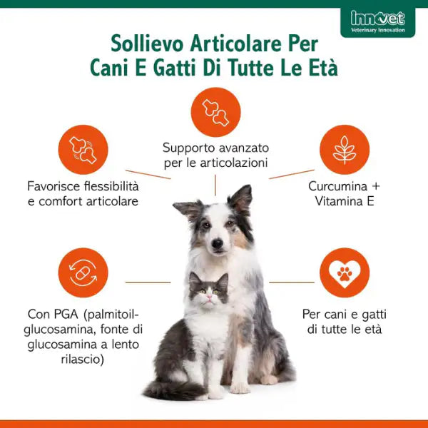 Innovet Glupacur sollievo articolare Stick orali per cani e gatti   Bauzaar.it
