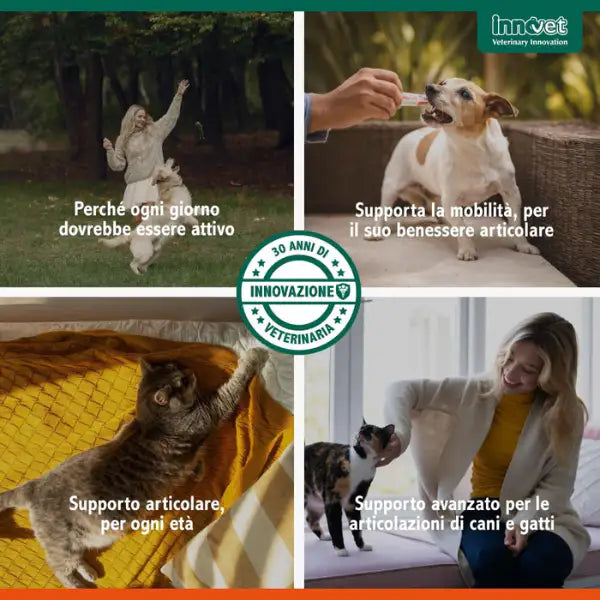 Innovet Glupacur sollievo articolare Stick orali per cani e gatti   Bauzaar.it