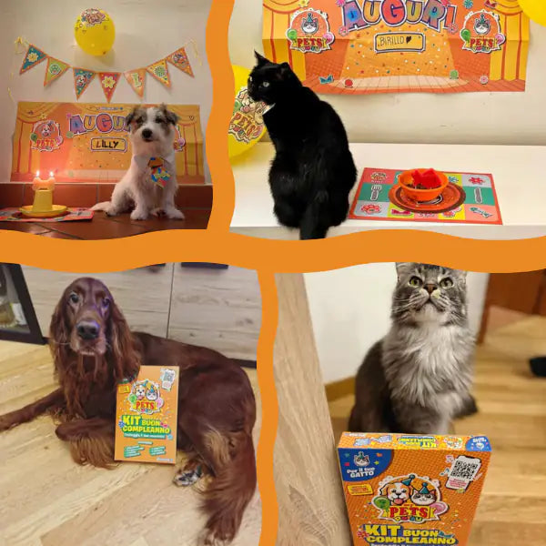 Kit buon compleanno MyPets Party   bauzaarit.myshopify.com