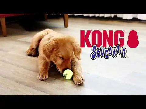 Kong Air Squeaker Tennis Ball   bauzaarit.myshopify.com