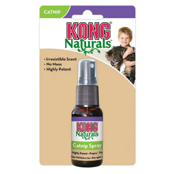Kong Catnip Spray Erba Gatta   bauzaarit.myshopify.com
