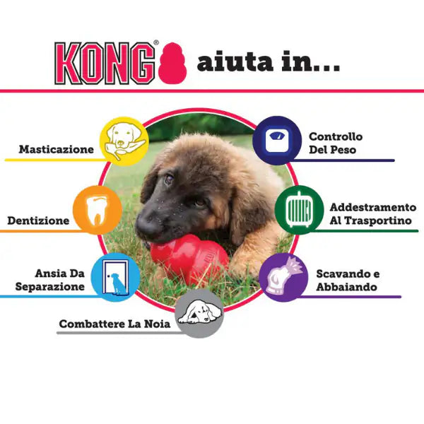 Kong Classic   bauzaarit.myshopify.com