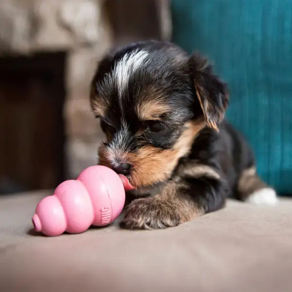 Kong Puppy   bauzaarit.myshopify.com