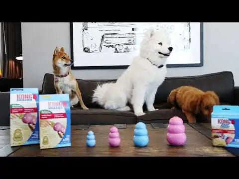 Kong Puppy   bauzaarit.myshopify.com