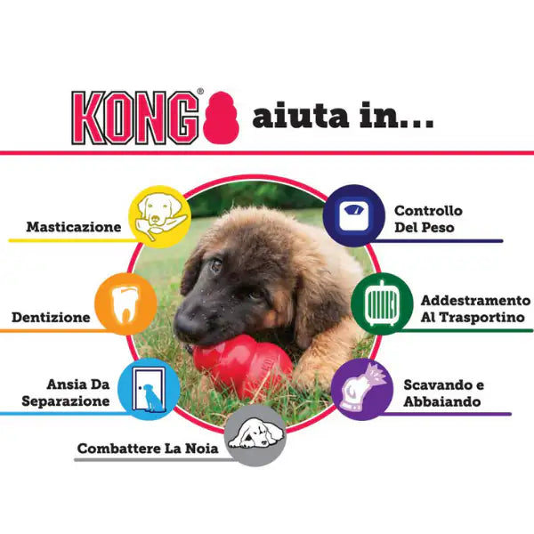 Kong Senior   bauzaarit.myshopify.com