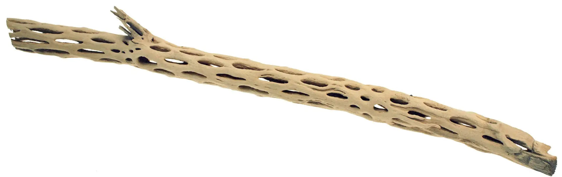 Legno decorativo per acquario Amtra   bauzaarit.myshopify.com