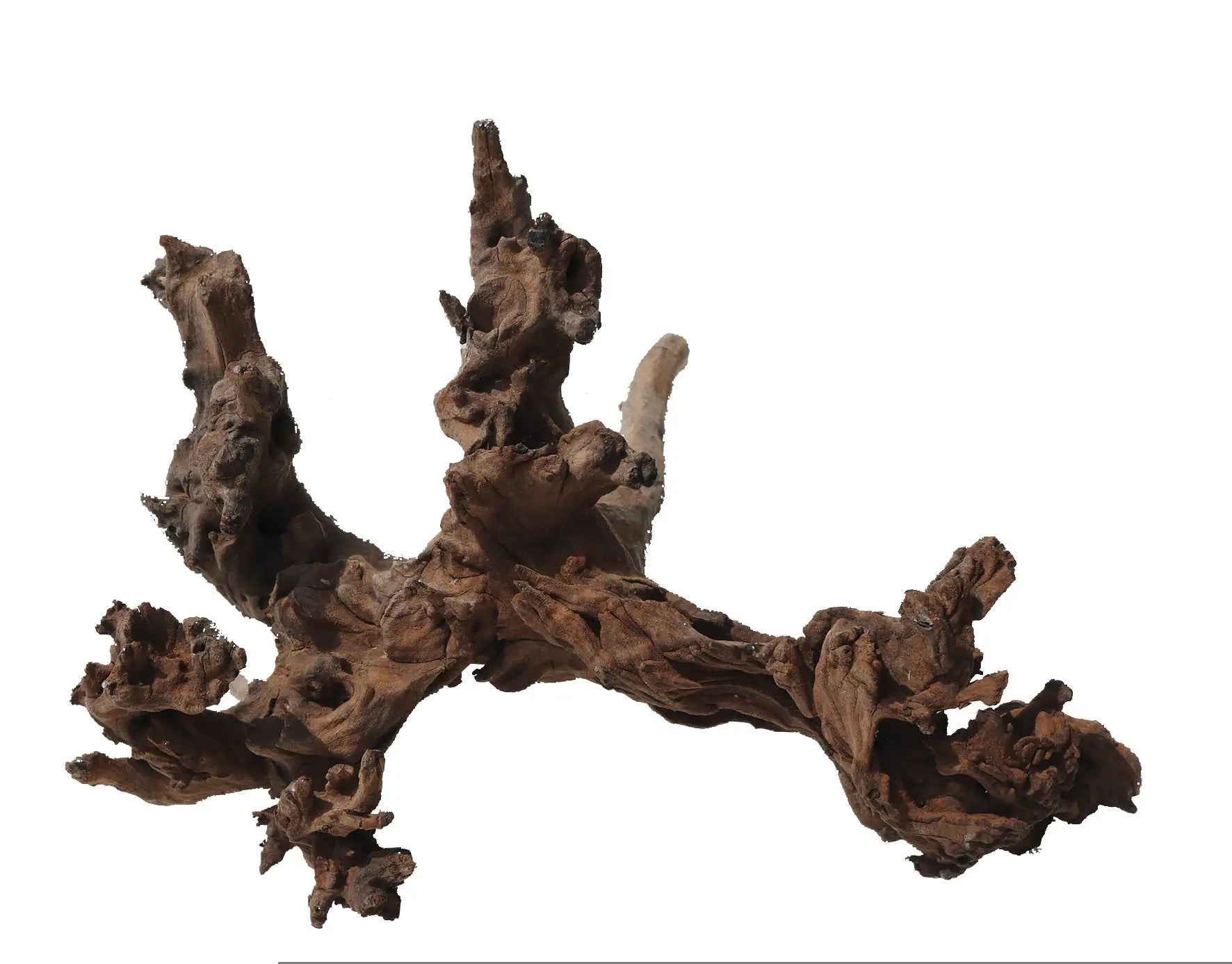 Legno decorativo per acquario Amtra   bauzaarit.myshopify.com