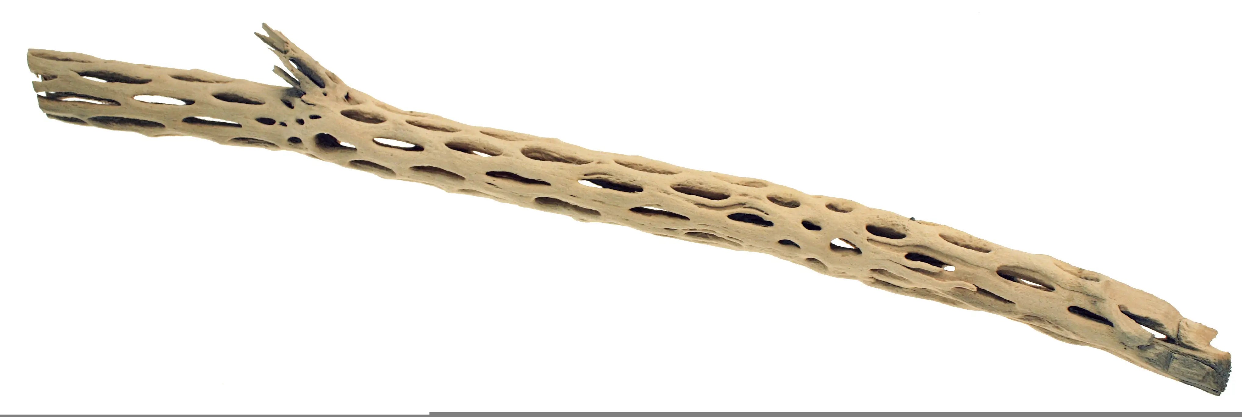 Legno decorativo per acquario Amtra   bauzaarit.myshopify.com