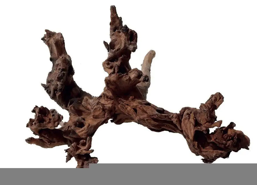 Legno decorativo per acquario Amtra   bauzaarit.myshopify.com
