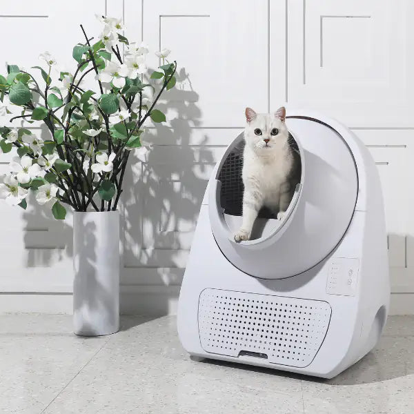 Lettiera autopulente per gatti Scooper Young CatLink (no Wi-fi)   bauzaarit.myshopify.com