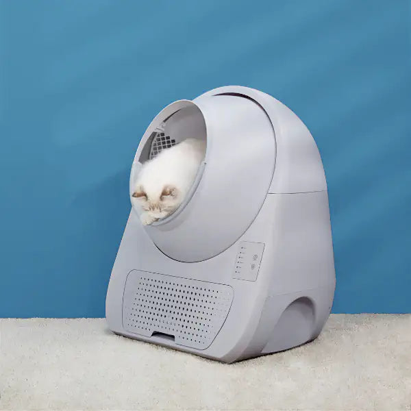 Lettiera autopulente per gatti Scooper Young CatLink (no Wi-fi)   bauzaarit.myshopify.com