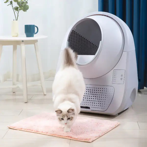 Lettiera autopulente per gatti Scooper Young CatLink (no Wi-fi)   bauzaarit.myshopify.com
