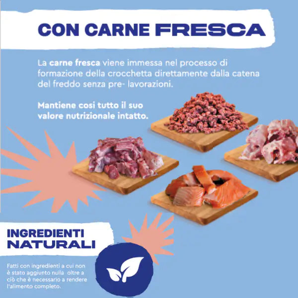 LifeCat Natural Kitten Pollo fresco   bauzaarit.myshopify.com