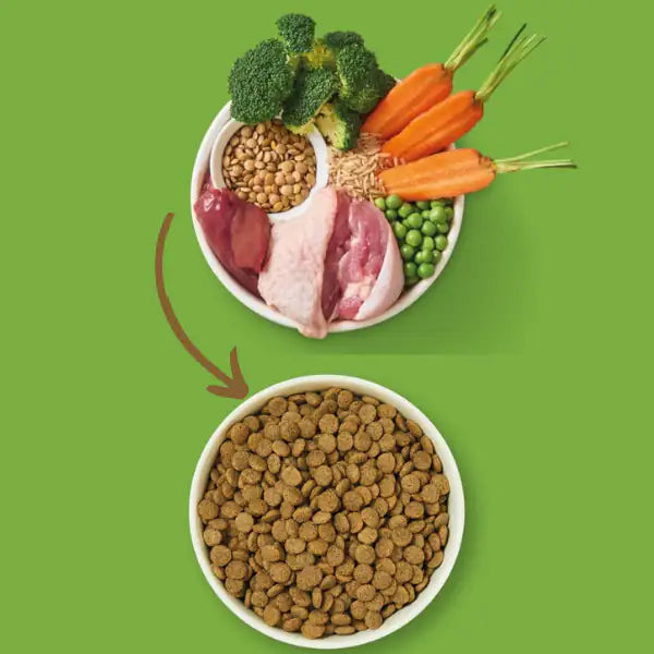 Lily's Kitchen Adult Organic Chicken Bake   bauzaarit.myshopify.com
